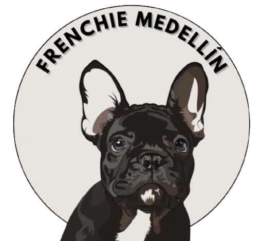 frenchiemedellin.com