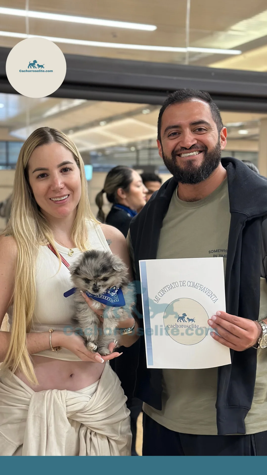 persona feliz con cachorro pomerania mini merle Clientes felices cachorroselite