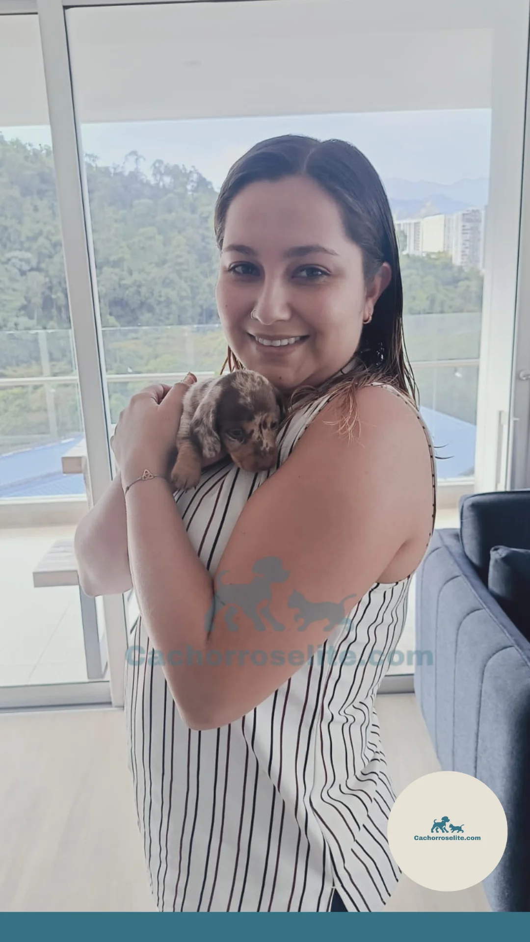 persona feliz con cachorro teckel perro salchicha choco arlequin manchado Clientes felices cachorroselite