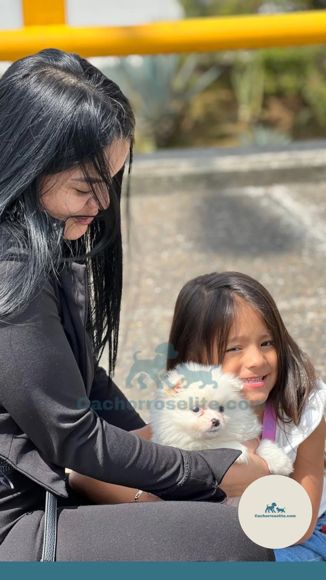 persona feliz con cachorro pomerania mini Clientes felices cachorroselite