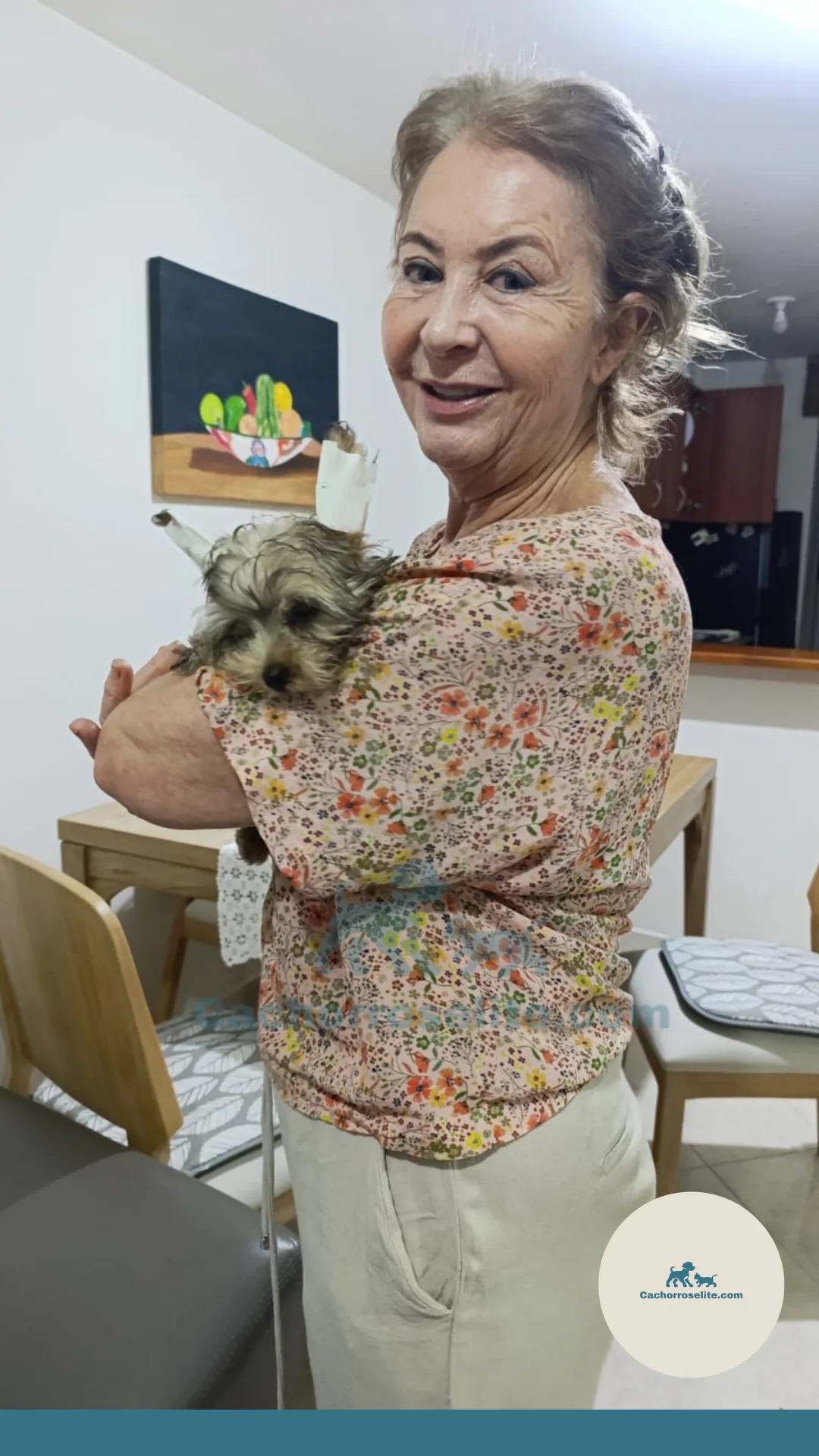 persona feliz con cachorro yorkshire mini Clientes felices cachorroselite