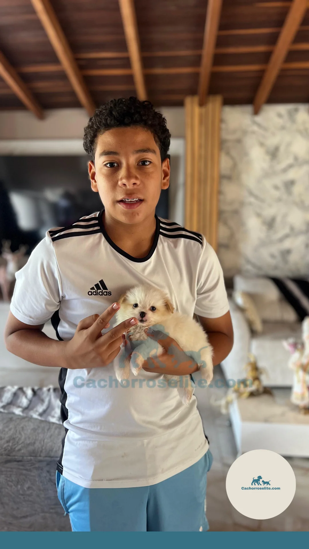 persona feliz con cachorro pomerania mini Clientes felices cachorroselite