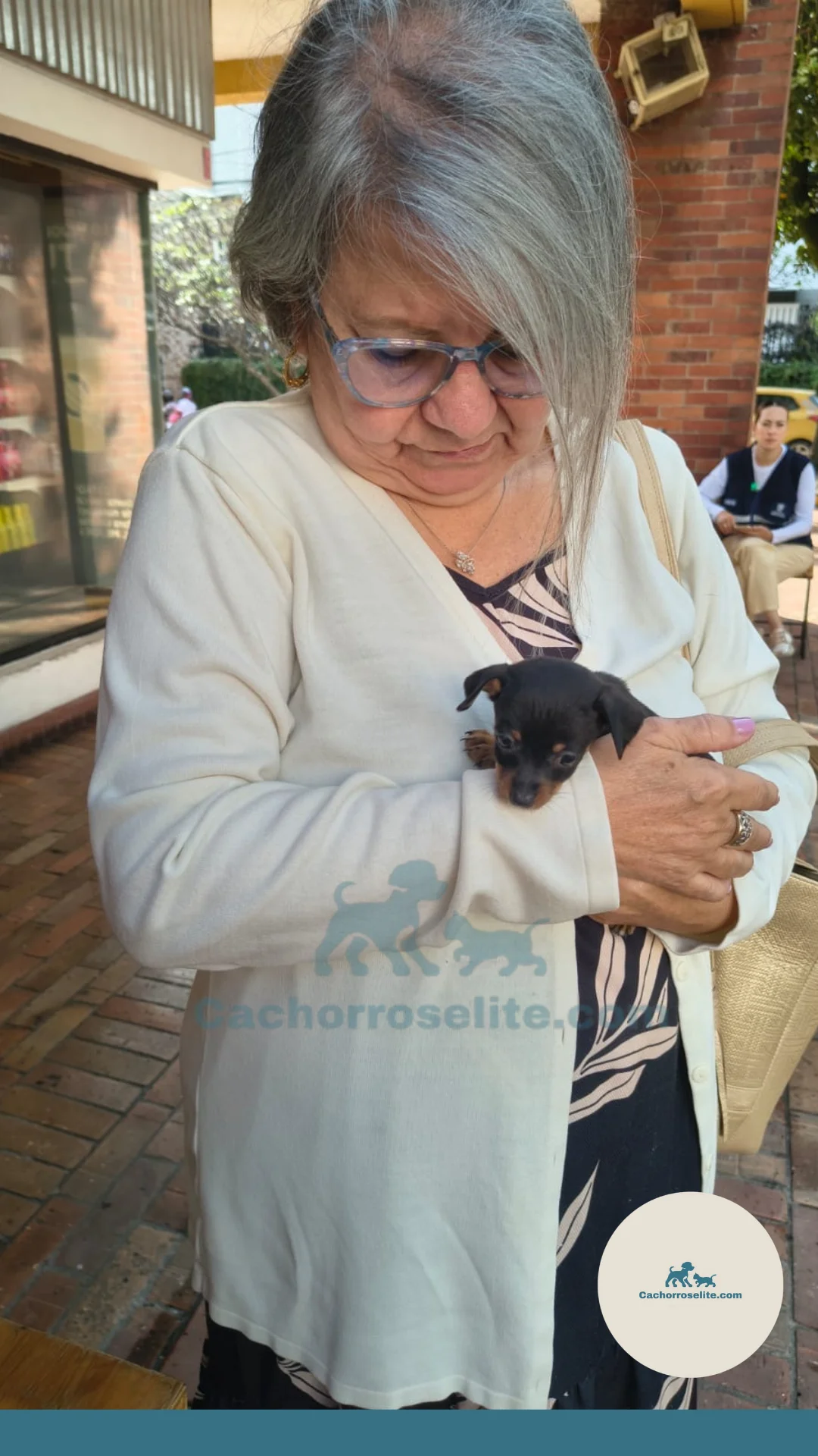 persona feliz con cachorro pinscher Clientes felices cachorroselite