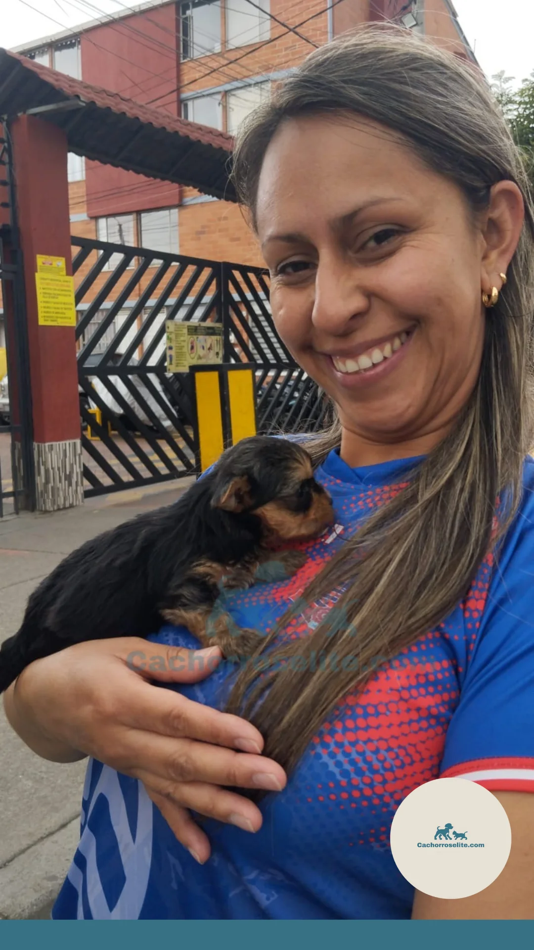 persona feliz con cachorro yorkshire mini Clientes felices cachorroselite