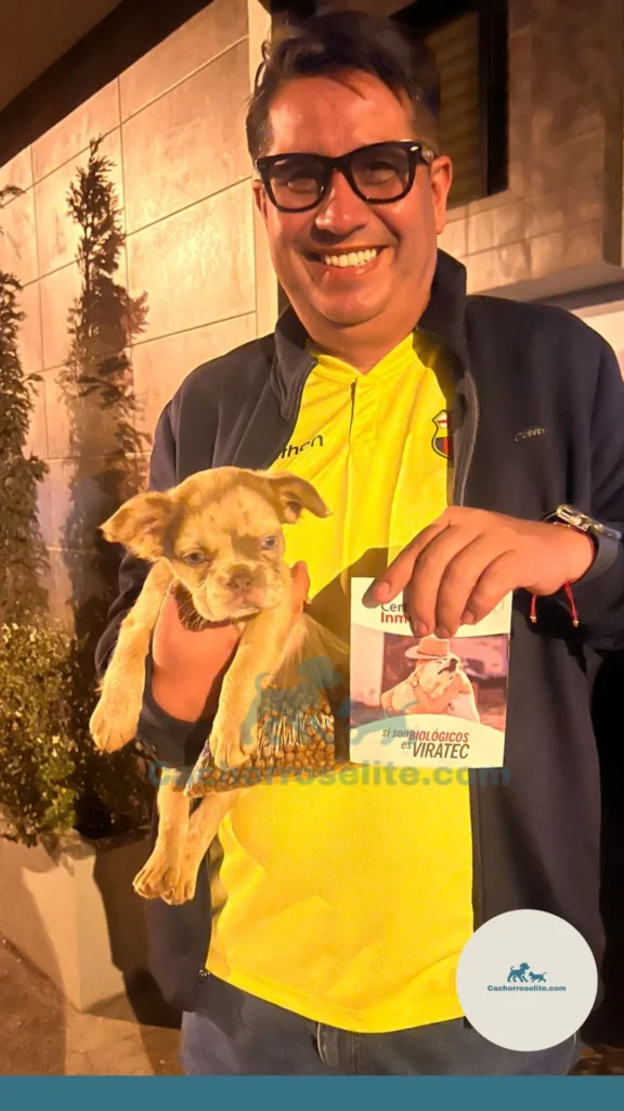 Entrega de un cachorro Bulldog Francés a su nueva familia