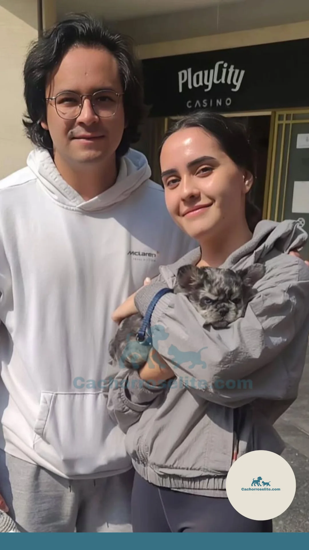 persona feliz con cachorro bulldog frances fluffy merle Clientes felices cachorroselite