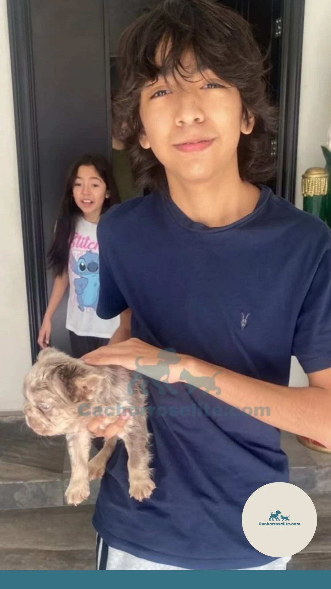 persona feliz con cachorro bulldog frances fluffy Clientes felices cachorroselite