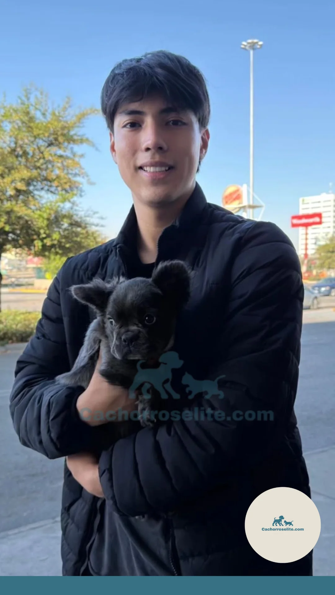 persona feliz con cachorro bulldog frances fluffy Clientes felices cachorroselite