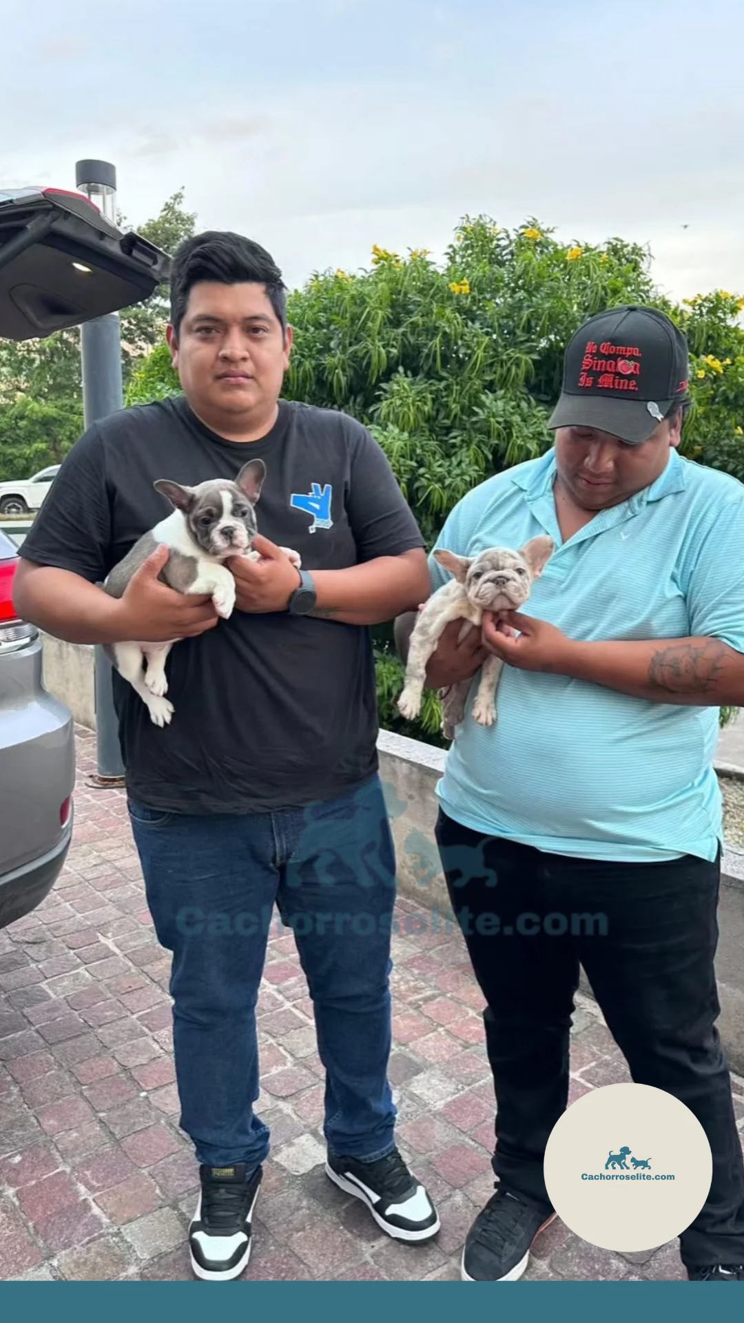 persona feliz con cachorro bulldog frances Clientes felices cachorroselite