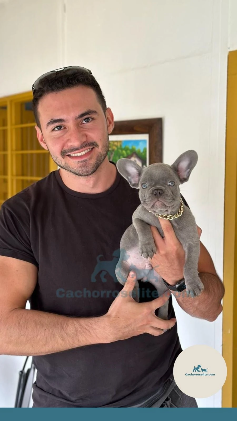 persona feliz con cachorro bulldog frances blue Clientes felices cachorroselite