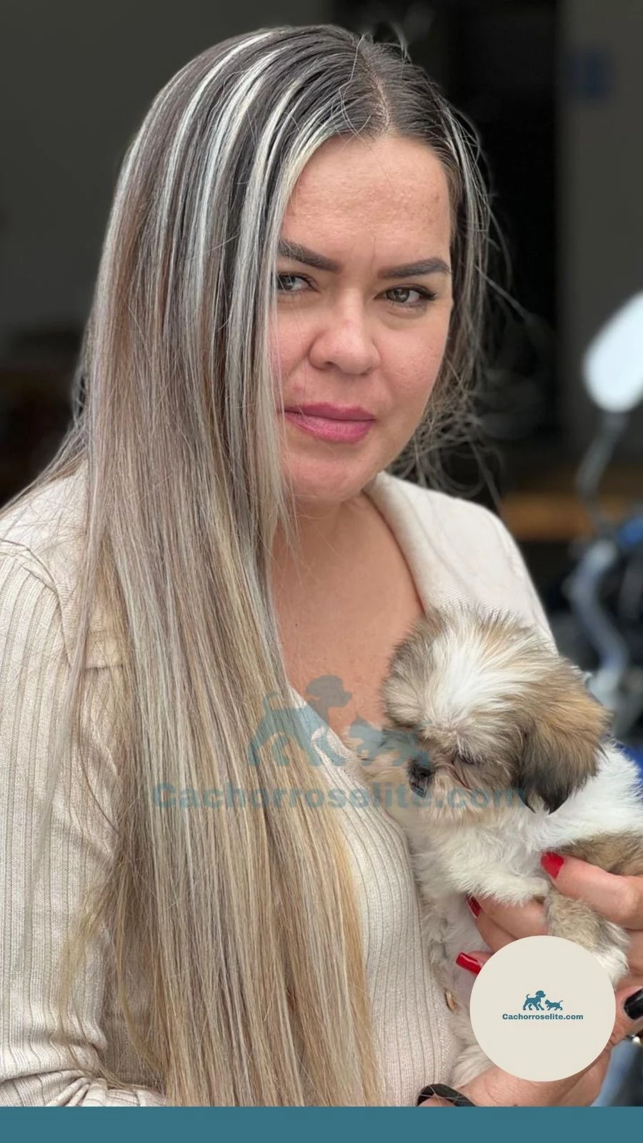 persona feliz con cachorro shih tzu Clientes felices cachorroselite